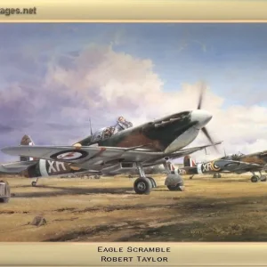 Eagle Scramble