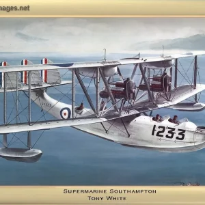 Supermarine Southampton