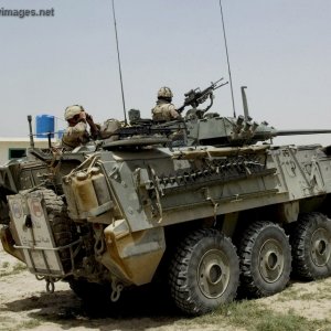 Light armoured vehicle (LAV III)