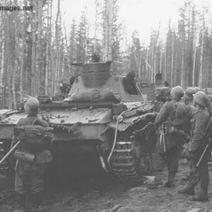 Pz.Kpfw III and Gebirgsjger's in the spring 1942
