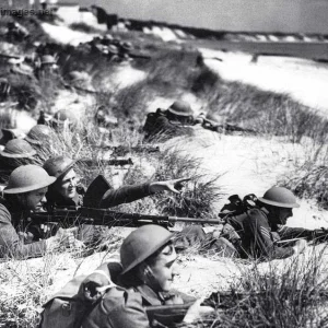 Operation Sea-lion