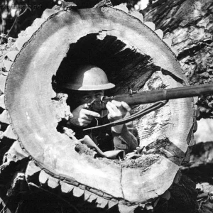 Operation Sea-lion