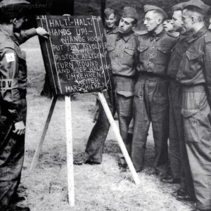 Operation Sea-lion