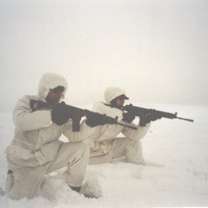 Swedish Arctic Infantry