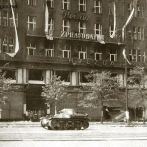 AMR 35