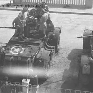 Staghound