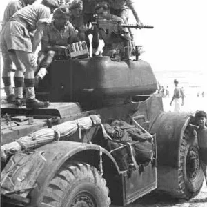 Staghound