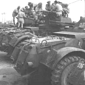 Staghound