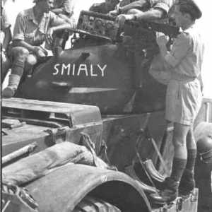 Staghound