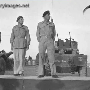 Staghound