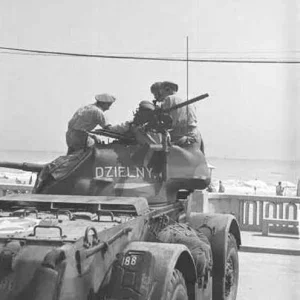 Staghound