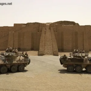 Australian Army ASLAV armoured vehicles