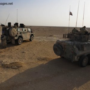 Australian Light Armoured Vehicle and a Bushmaster