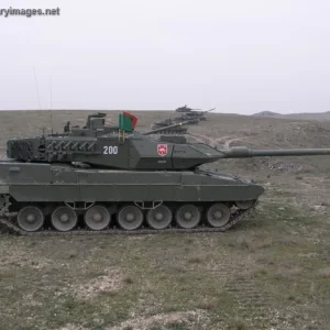 Leopard 2E