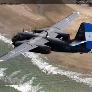 Argentine Navy - Grumman S-2T Turbotracker