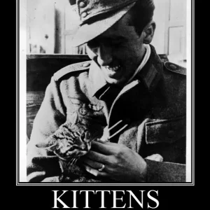 troops_Kitten_by_Stu_Sturmoviks