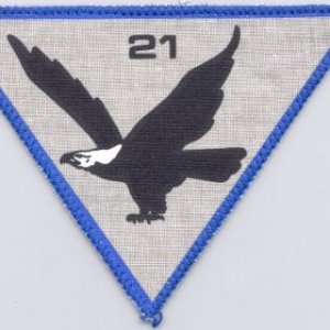 Fighter Squadron 21