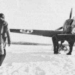 Fokker D XXI on ice