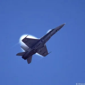 Hornet