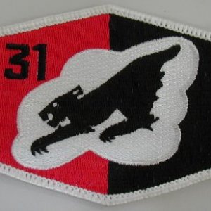 Fighter Squadron 31