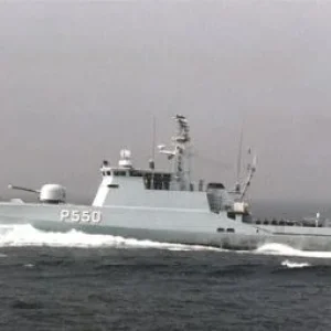 Flyvefisken