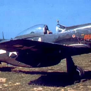 P-51D