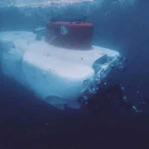 DSV Turtle