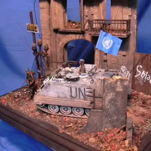 UN in Bosnia