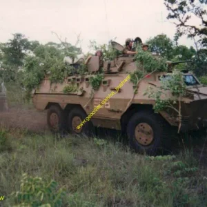 sadf53