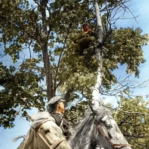Soviet Army WWII In colour