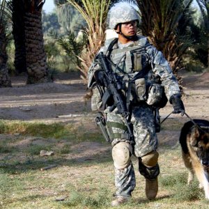 Army doghandler