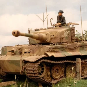 Pz6_Wittmann_s_Last_Tiger_I_007