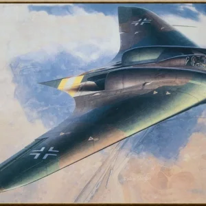 Ho 229