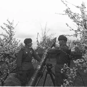 Russian Troops in Action