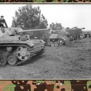 Panzer an Feldrand 2