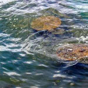 Pearl Harbor Memorial Sites