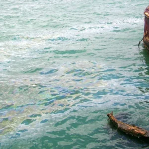Pearl Harbor Memorial Sites