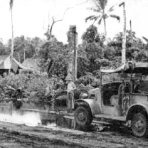 American trucks