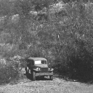American trucks