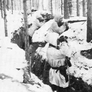 Finns in positions