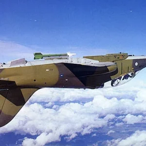Hawk