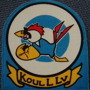 Training squadron sleeve badge