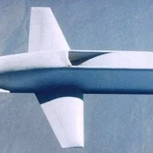 Northrop Tacit Blue (Whale)