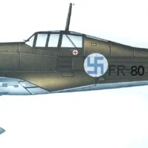 Fokker D.XXI
