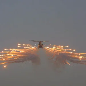 Chinook