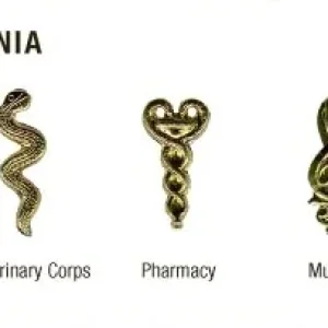 Special Officer Insignia