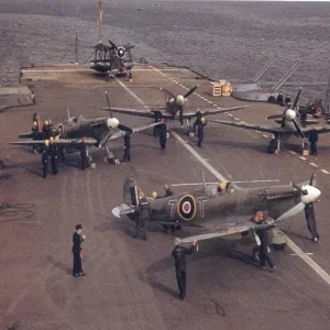 SeaFires and Swordfish