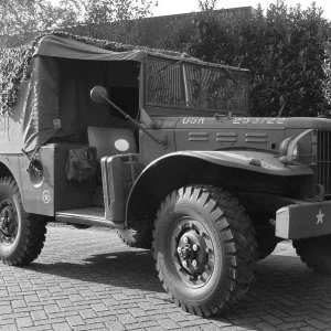 American trucks
