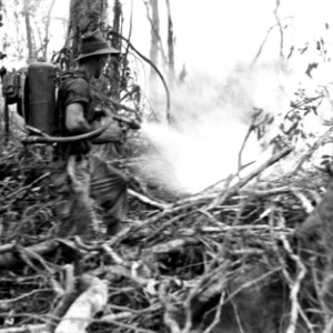 soldiers in action
