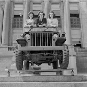 Jeeps
